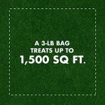 Spectracide Ant Shield Insect Killer Granules, 3 lb, Case Pack of 1