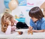 WenffbBou Remote Control Fake Rat Toy - Realistic Mouse Cat Toy Mice RC Toy Chasing Prank Joke Scary Trick Rats for Cat Funny Toy (Black)