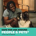 STEM Flying Insect Trap - Indoor Fruit Fly & Gnat Catcher for Home, Kitchen & Any Room, Attracts & Traps Bugs, Soft Blue UV Light - Includes 2 Plug-in Devices & 4 Cartridges