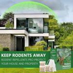 Mouse Rodent Repellent, 10 Pack Peppermint Lemon Oil Mice Repellent for Squirrel Rats Spider Pests, Natural Deterrent for Kitchen, Warehouse, Car, Indoor, Outdoor, Safe for Pets & Family