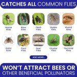 2 Reusable Outdoor Fly Traps with Bait Refills