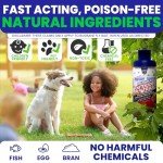 2 Reusable Outdoor Fly Traps with Bait Refills