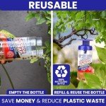 2 Reusable Outdoor Fly Traps with Bait Refills