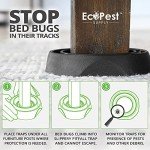 Bed Bug Interceptors - 4 Pack Black Traps