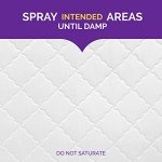 Hot Shot Bed Bug Killer Spray, 32 Ounces