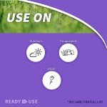 Bonide Systemic Insect Control Granules, 4 lbs