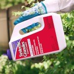 Bonide Systemic Insect Control Granules, 4 lbs