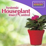 Bonide Systemic Insect Control Granules for Plants