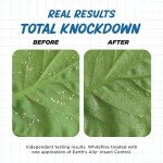 Earth's Ally Ready-to-Use Insect Control Spray