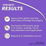 Bonide Systemic Insect Control Concentrate - 16 oz