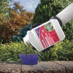 Bonide Systemic Insect Control Concentrate - 16 oz