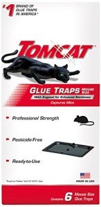 Tomcat Mouse Glue Traps with Enhanced Stickiness, 6 Pack