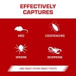 Tomcat Mouse Glue Traps with Enhanced Stickiness, 6 Pack