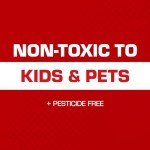 Tomcat Mouse Glue Traps with Enhanced Stickiness, 6 Pack