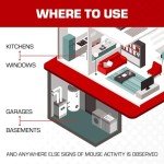 Tomcat Mouse Glue Traps with Enhanced Stickiness, 6 Pack