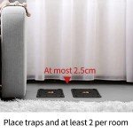 LULUCATCH 12-Pack Sticky Mouse & Insect Traps