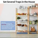 LULUCATCH 12-Pack Sticky Mouse & Insect Traps