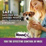 MouseX Throw Packs - Safe Rodent Control for Pets