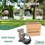 Shorty Tube Squirrel Trap - Safe & Effective