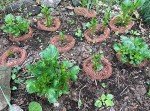 Copper Mesh for Wildlife Control and Cleaning