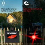 Solar Animal Deterrent Lights - 2 Pack