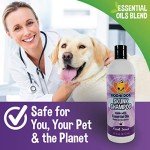 Bodhi Dog Skunk Shampoo with Essential Oils - 16oz