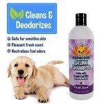 Bodhi Dog Skunk Shampoo with Essential Oils - 16oz