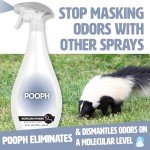 Skunk Odor Eliminator Spray - 32oz Solution