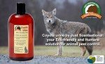 Coyote Urine 16 oz for Gardens & Trapping