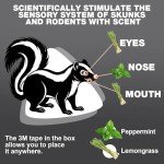 Natural Skunk Repellent Cream - 3 Pack