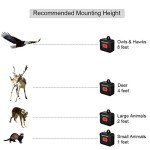 Solar Coyote Deterrent Lights - 8 Pack