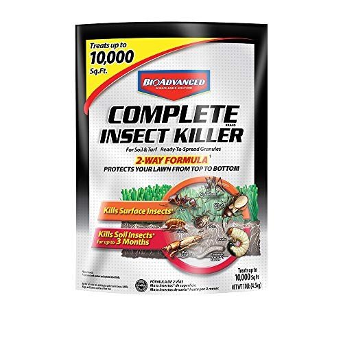 Lawn Pest Control