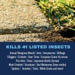 BioAdvanced Complete Insect Killer Granules - 10 lbs
