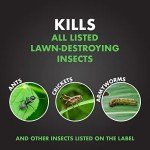 Spectracide Triazicide Lawn Insect Killer Granules, 10 lb