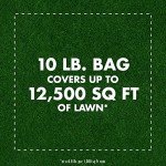Spectracide Triazicide Lawn Insect Killer Granules, 10 lb