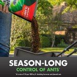 Spectracide Triazicide Lawn Insect Killer Granules, 10 lb