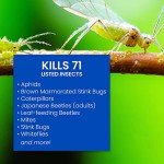 BioAdvanced Complete Insect Killer for Soil & Turf