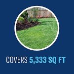 BioAdvanced Complete Insect Killer for Soil & Turf