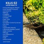 BioAdvanced Ready-to-Spray Insect Killer for Lawns