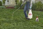 Ortho BugClear Insect Killer for Lawns & Landscapes