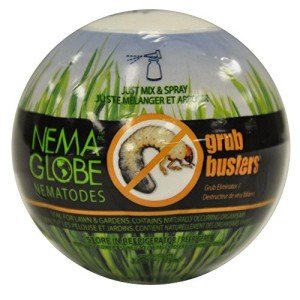 Nema Globe Nematodes: Grub Control for Lawns