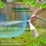 Mighty Mint Peppermint Bug Control Lawn Spray