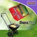 Bonide Insect and Grub Control Granules (6 lb)