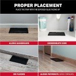 Catchmaster 6-Pack Large Glue Traps for Mice and Pests