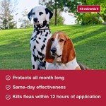 K9 Advantix II XL Flea and Tick Treatment for Dogs
