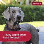 K9 Advantix II XL Flea and Tick Treatment for Dogs