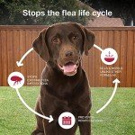K9 Advantix II XL Flea and Tick Treatment for Dogs