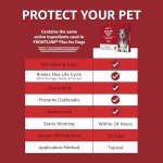 Solimo Flea and Tick Treatment for Large Dogs