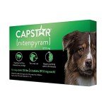 Capstar Fast-Acting Flea Tablets for Dogs 25+ lbs
