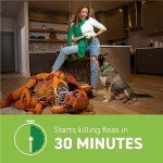 Capstar Fast-Acting Flea Tablets for Dogs 25+ lbs